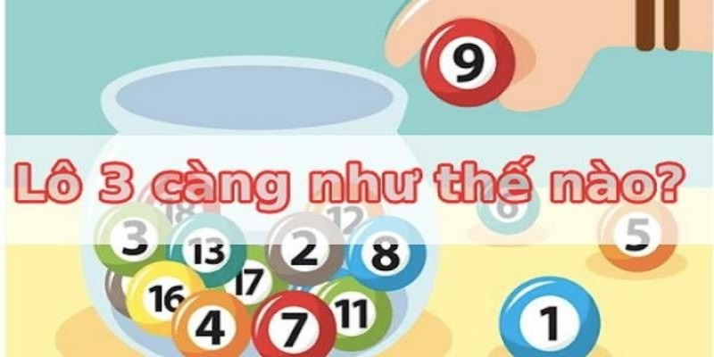 Giới thiệu lô 3 càng dành cho người mới